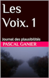 Couverture de la nouvelle Journal des plausibilités
